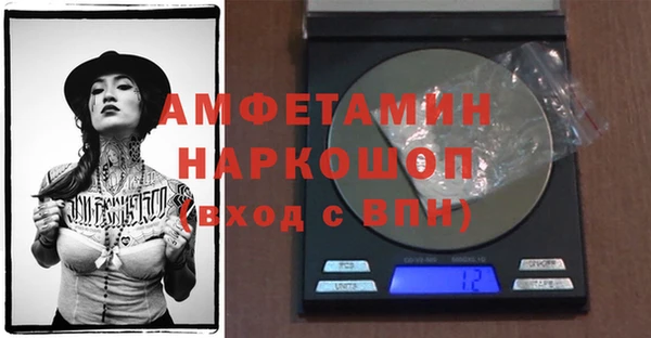 твердый Абаза