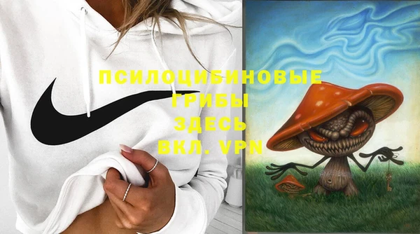 дурь Абдулино