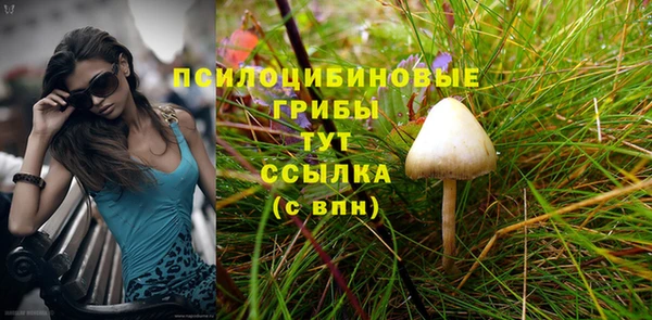 дурь Абдулино