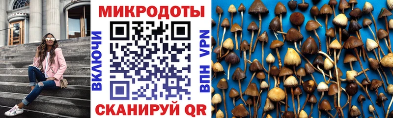 как найти   kraken маркетплейс  Галлюциногенные грибы Psilocybine cubensis  Кызыл 